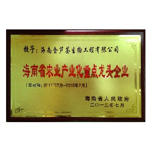 海南省重點(diǎn)龍頭企業(yè)