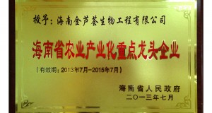 海南省重點龍頭企業(yè)